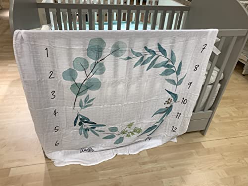 Organic Baby Monthly Milestone Blanket| Eucalyptus