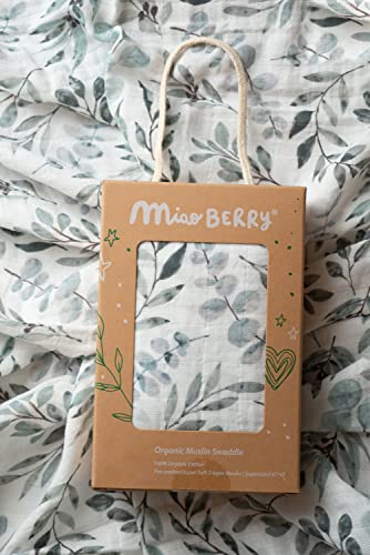 Organic Muslin Swaddle Set| Eucalyptus