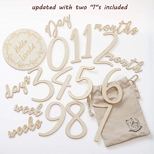 Wooden Milestone Numbers