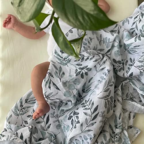 Organic Muslin Swaddle Set| Eucalyptus