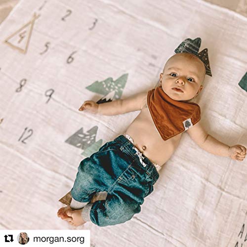 Organic Baby Monthly Milestone Blanket| Boho Mountain