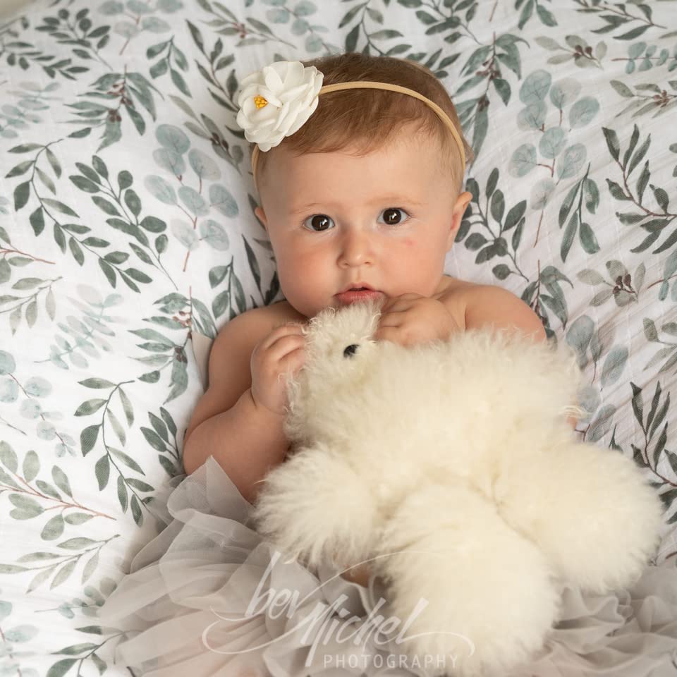 Organic Muslin Swaddle Set| Eucalyptus