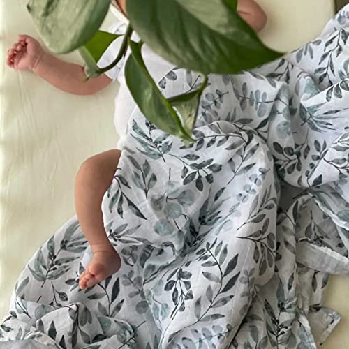 Eucalyptus swaddle best sale